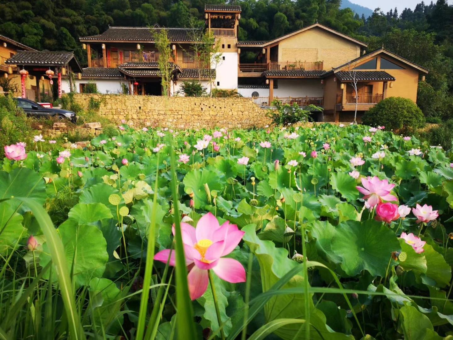 Dayong Antique Feature Resort จางเจียเจี้ย ภายนอก รูปภาพ